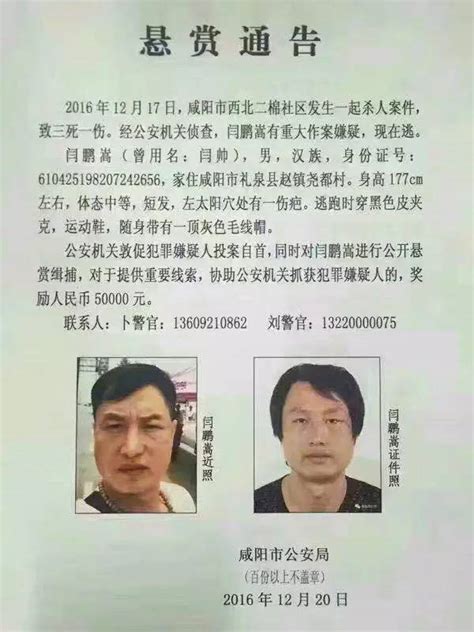 河南郑州上街区连环杀人碎尸案（3/3）#真实案件 #悬疑推理_腾讯视频