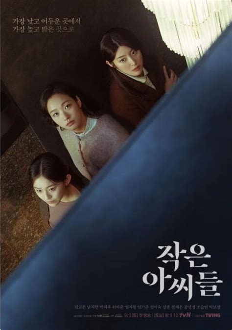 《铁证悬案:真实之门 第三季》电影免费完整版在线观看 - 日韩剧 - 八一影院
