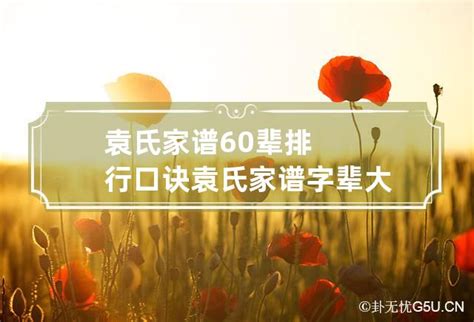 袁姓_360百科