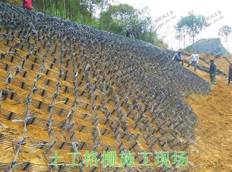 钢塑土工格栅的网状结构是怎样的-泰安市建材有限公司