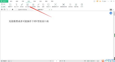 讯读PDF大师如何插入一张图片-讯读PDF大师插入一张图片方法 - 极光下载站