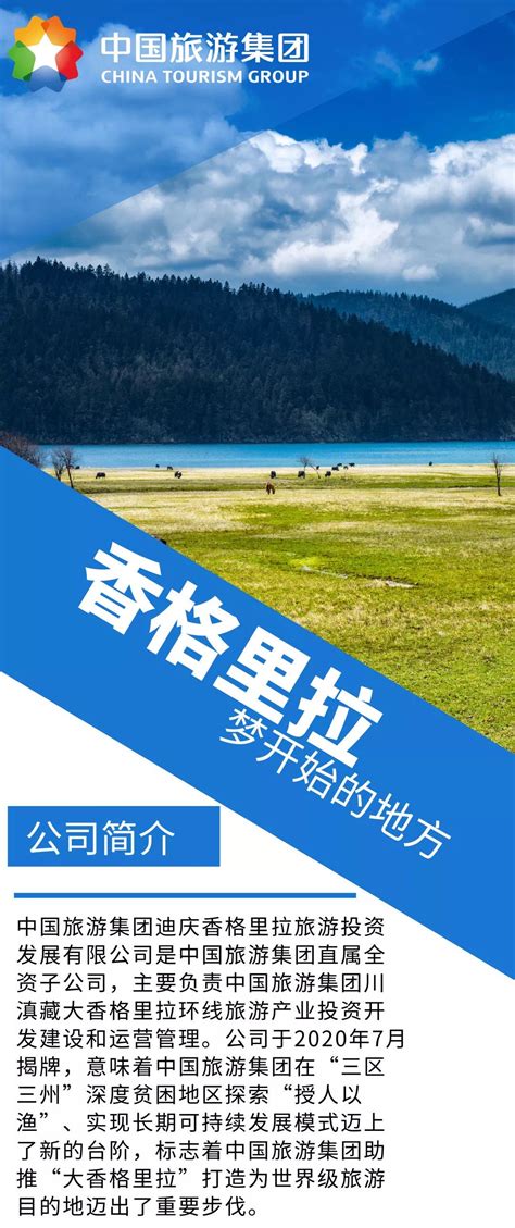中国旅游集团2020年春季校园招聘正式启动！