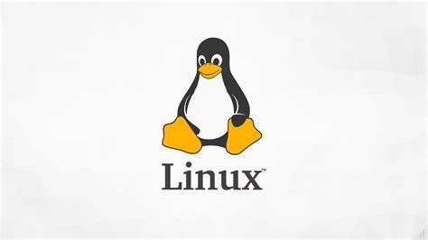 ubuntu 指令及常用操作