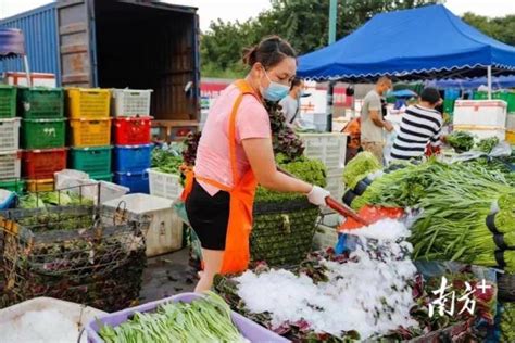 荔湾 | 菜市场同价、1小时送达！荔湾四大肉菜市场进驻线上买菜平台