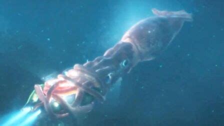 《史前大章鱼》-高清电影-完整版在线观看