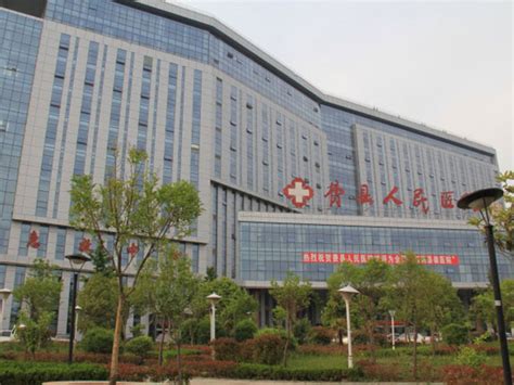 掌上医院方案-北京欧蓝德畅电子技术有限公司