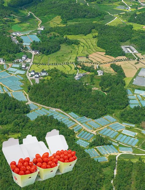 farm land 的图像结果