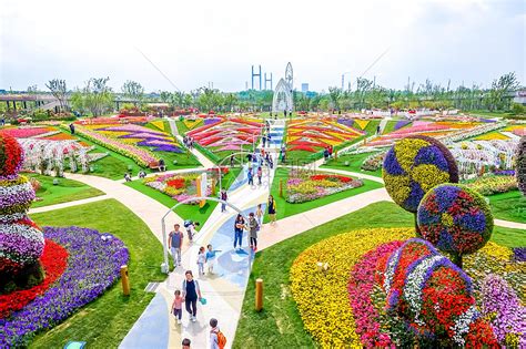 2020上海（国际）花展闪亮全场-上海旅游资讯-墙根网