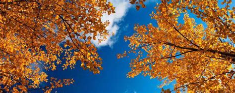 描写秋天景色的一段话 瓜果飘香的秋天更加美丽_知秀网