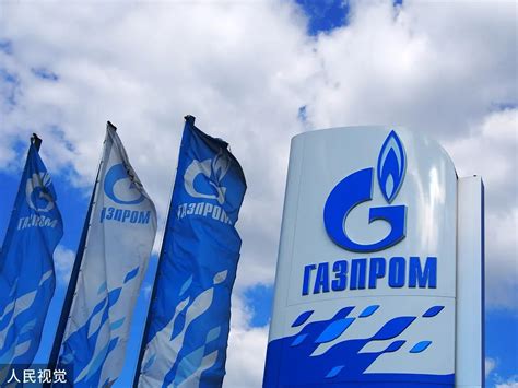 俄气公司停止向荷兰供气 - 2022年5月31日, 俄罗斯卫星通讯社