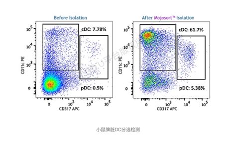 NK细胞促进DC细胞向肿瘤微环境募集，抑制肿瘤免疫逃逸-公司新闻-深圳市默赛尔生物医学科技发展有限公司