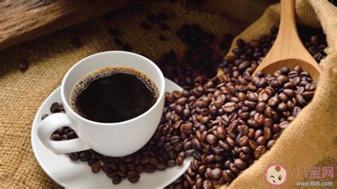 猫屎咖啡的制作流程是怎样的 猫屎咖啡味道怎么样 _八宝网