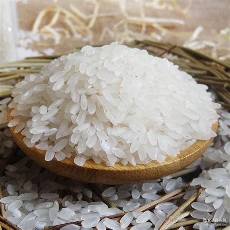 香米装原装大米香米批发香米 厂家直销长粒饱满进口大米批发价格 大米-食品商务网