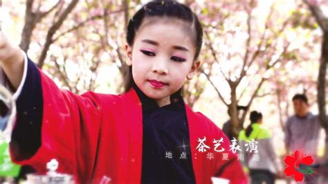 鹤壁樱花节宣传片_腾讯视频