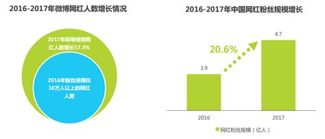 2017年中国网红经济发展洞察报告