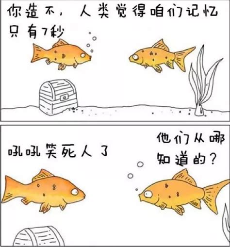 冷笑话为什么鱼的记忆只有七秒-百度经验