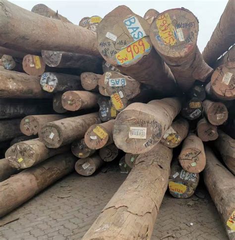 中国国际木材交易市场（公司）_技点百科