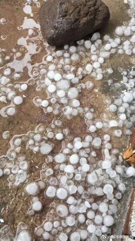 江西多地遭遇强对流 鹌鹑蛋大小冰雹击穿简易房房顶-图片频道-中国天气网