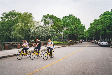 共享单车骑行高清图片下载-正版图片500218374-摄图网