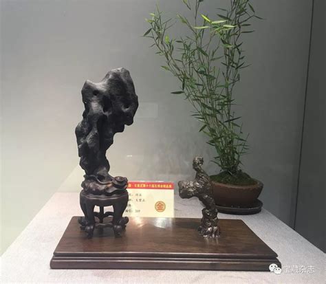 第二届常山国际赏石文化节，金奖_乾隆奇石博物馆