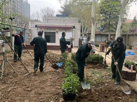 后勤校园绿化中心完成雁塔校区春季绿植补栽补种工作-西安建筑科技大学后勤服务中心