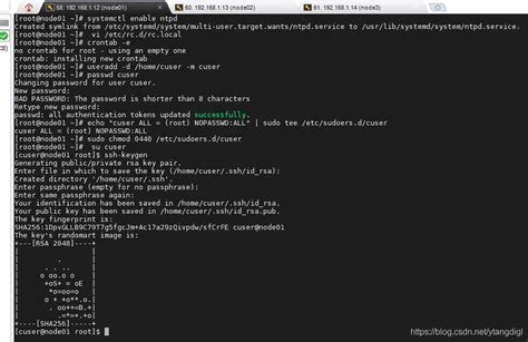 Linux搭建完全分布式_linux 设置node01 node02-CSDN博客