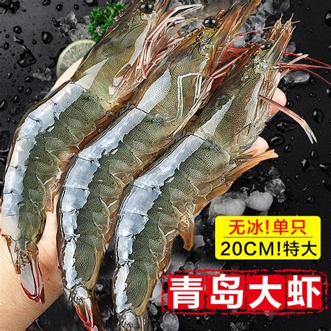 海虾种类大全图片名称(常见的海虾品种及价格)-海诗网
