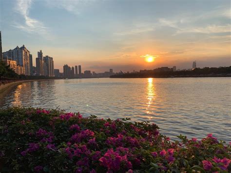《广州市珠江沿岸高质量发展建设规划（草案）》正征询意见|珠江|广州市_新浪新闻