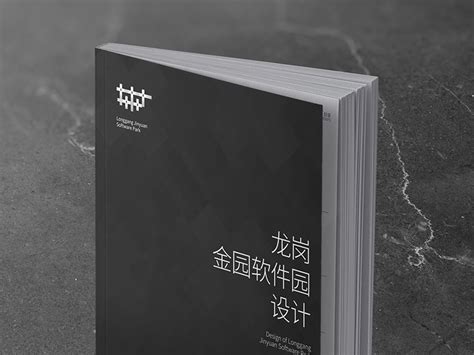 深圳龙岗区大运软件小镇改造_迈丘设计