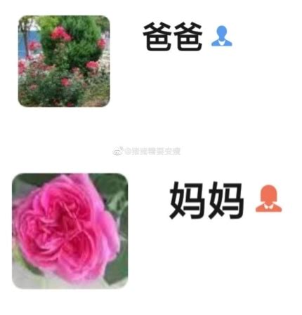 家长头像非主流