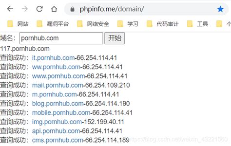 信息搜集-子域名挖掘_phpinfo.me-CSDN博客