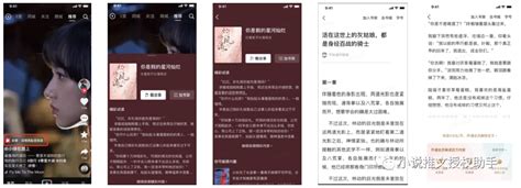 小说推文授权平台_小说推广接单平台