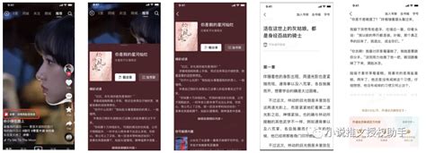 小说推文，如何找到一级授权平台？看完这个就懂了。-海豚优课