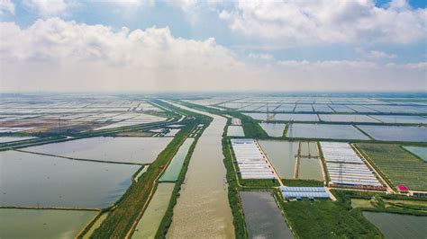 读创--肇庆联手京东与广州观星联合打造数字化渔业养殖基地