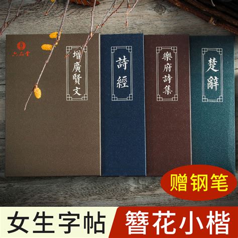 字帖女生簪花小楷字体漂亮大气练字成年神器清秀楷书入门基础训练初学者硬笔钢笔书法练习写字大学生成人手写正楷字贴临摹练字帖_虎窝淘