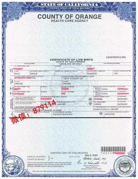 美国出生纸三级认证 - 代孕dna - 洛杉矶旅行证新办 - 美国护照更换