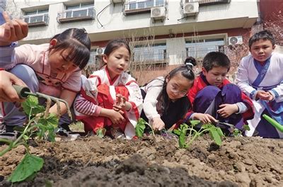 学生在学校“一亩地”菜园种下小菜苗-新闻频道-和讯网