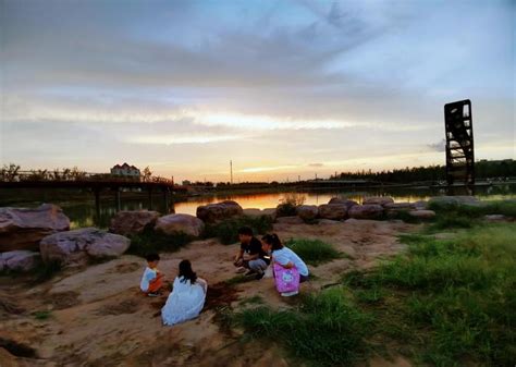 河南安阳：洪河湿地公园面积约40公顷，湿地生态环境成“金丝带”-搜狐大视野-搜狐新闻