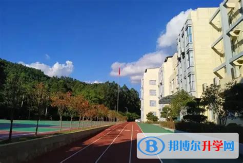 武汉洪山高级中学国际部2023年招生简章