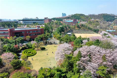 韩国加图立大学中文官方网站