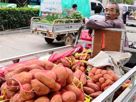 帮助“红薯爷爷”39个“彩蛋”卖了332元 - 成都 - 华西都市网新闻频道