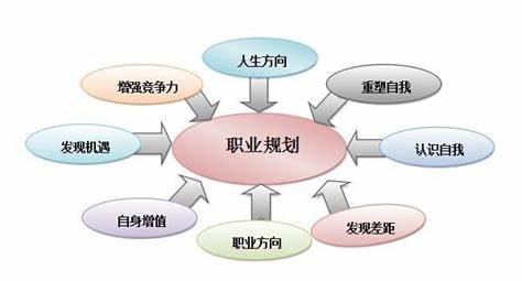 数据分析师职业生涯规划怎么写