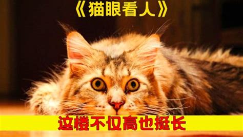 猫眼娱乐（01896），中国最大的在线电影票务服务平台_凤凰网