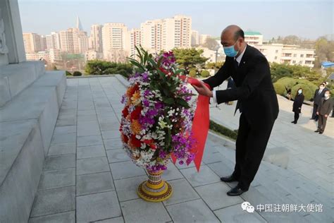 中国驻朝鲜大使馆祭奠志愿军先烈