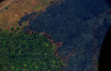 实拍巴西亚马逊雨林大火 浓烟滚滚满目苍夷-新闻中心-南海网