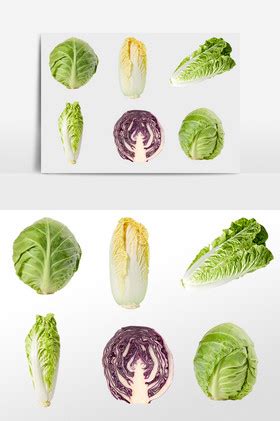 白菜图片-白菜素材免费下载-包图网