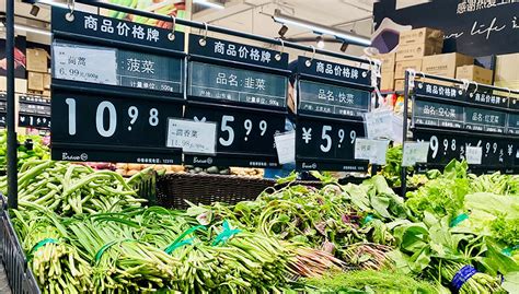 超市绿色蔬菜新鲜蔬菜海报设计图片下载_红动中国
