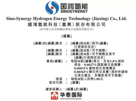 氢能“独角兽”国鸿氢能再次递交港股上市申请-氢燃料电池--国际氢能网