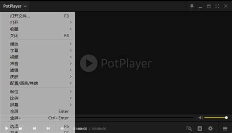 PotPlayer怎么播放音频文件？-PotPlayer播放音频文件的方法 - 极光下载站