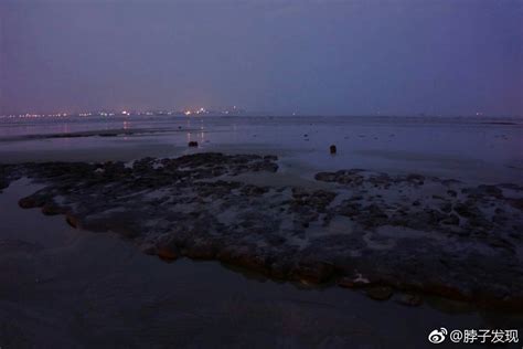 福建晋江深沪湾的海底古森林遗迹，是一种世界罕见的自然景观|深沪湾|森林遗迹|晋江_新浪新闻